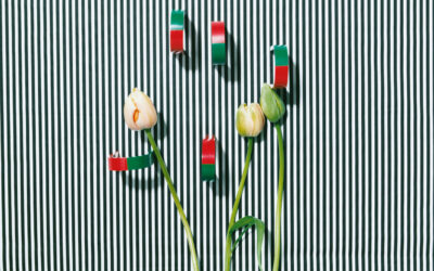 Le nature morte concettuali di Annette Kelm