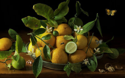 Le nature morte barocche di Paulette Tavormina
