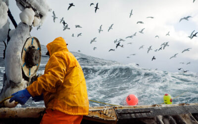 Corey Arnold, il fotografo pescatore