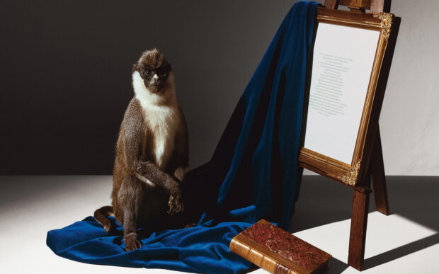 Gli still life concettuali di Olivier Richon