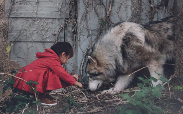 Le visioni oniriche di Paxton Maroney