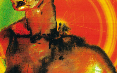 Il colore nelle fotografie di moda di Lea Colombo