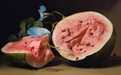 Tra pittura e fotografia, le nature morte di Sharon Core