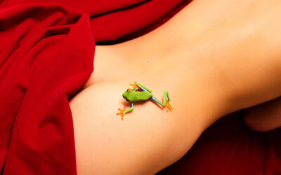 La bellezza fragile della natura nelle fotografie di Douce d’Ivry