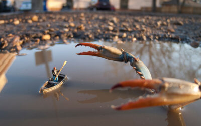 I mondi in miniatura di Kurt ed Edwige Moses