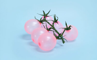 Le bizzarre nature morte di Vanessa McKeown